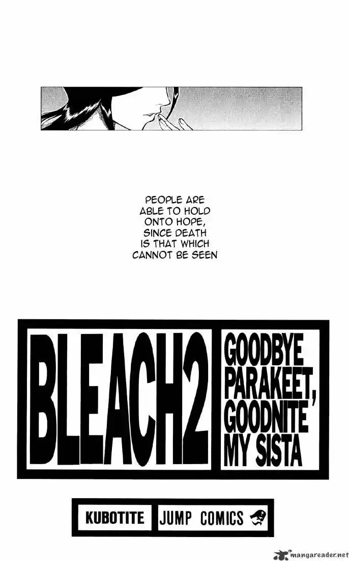 Bleach - All Colour But The Black Vol.13 Ch.008