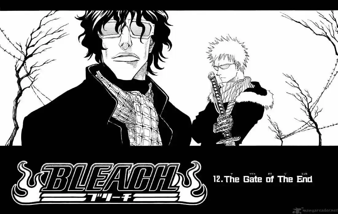 Bleach - All Colour But The Black Vol.13 Ch.012