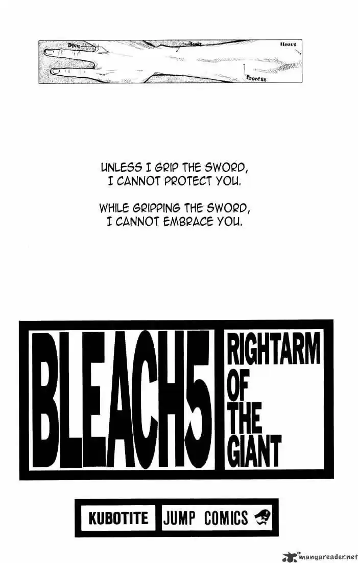 Bleach - All Colour But The Black Vol.13 Ch.035