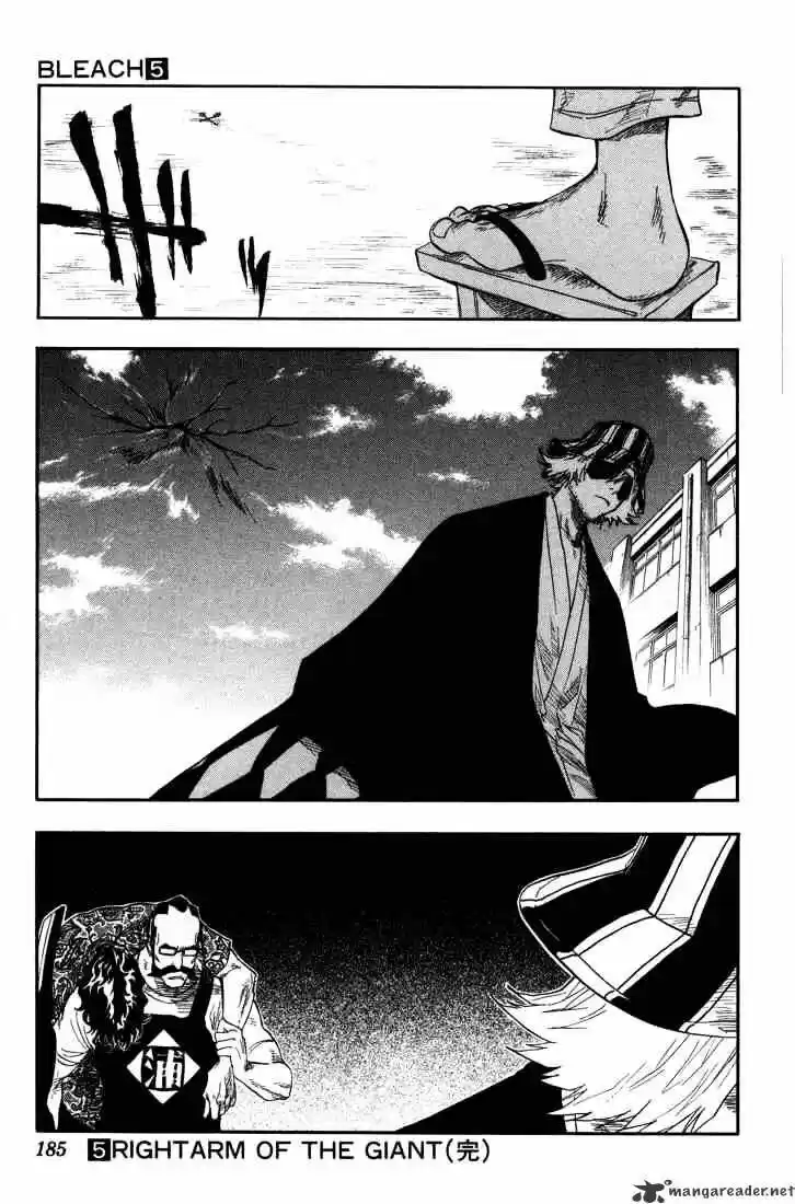 Bleach - All Colour But The Black Vol.13 Ch.043