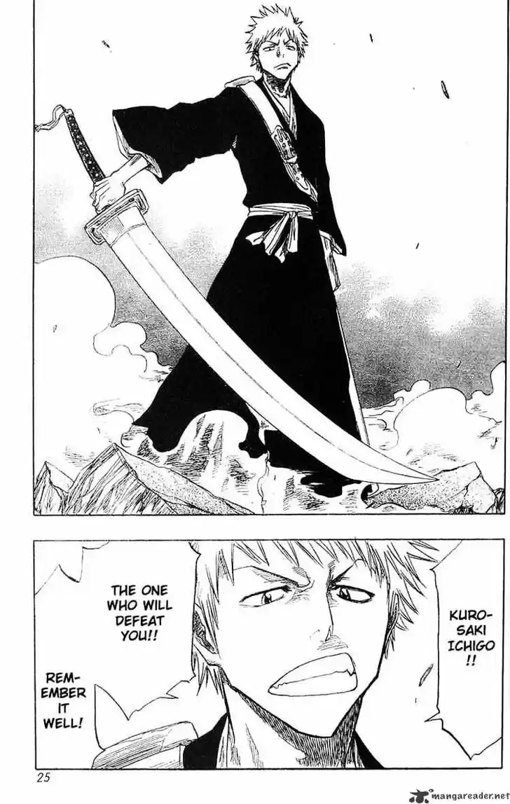 Bleach - All Colour But The Black Vol.13 Ch.053