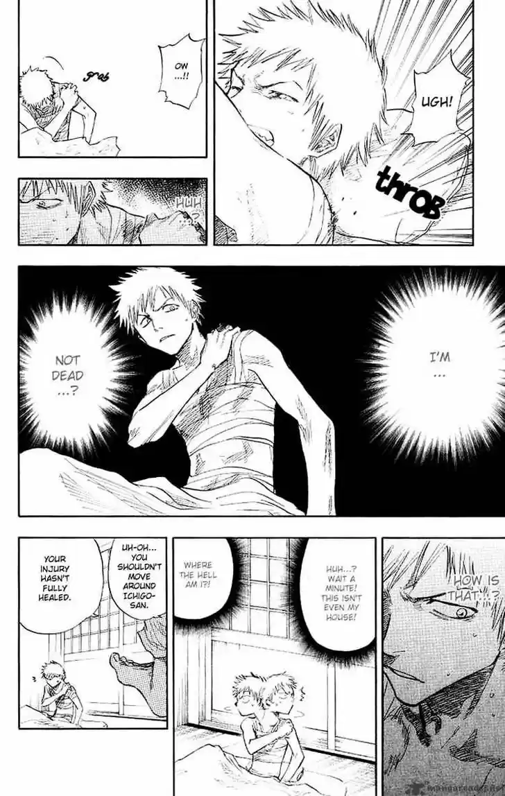 Bleach - All Colour But The Black Vol.13 Ch.057