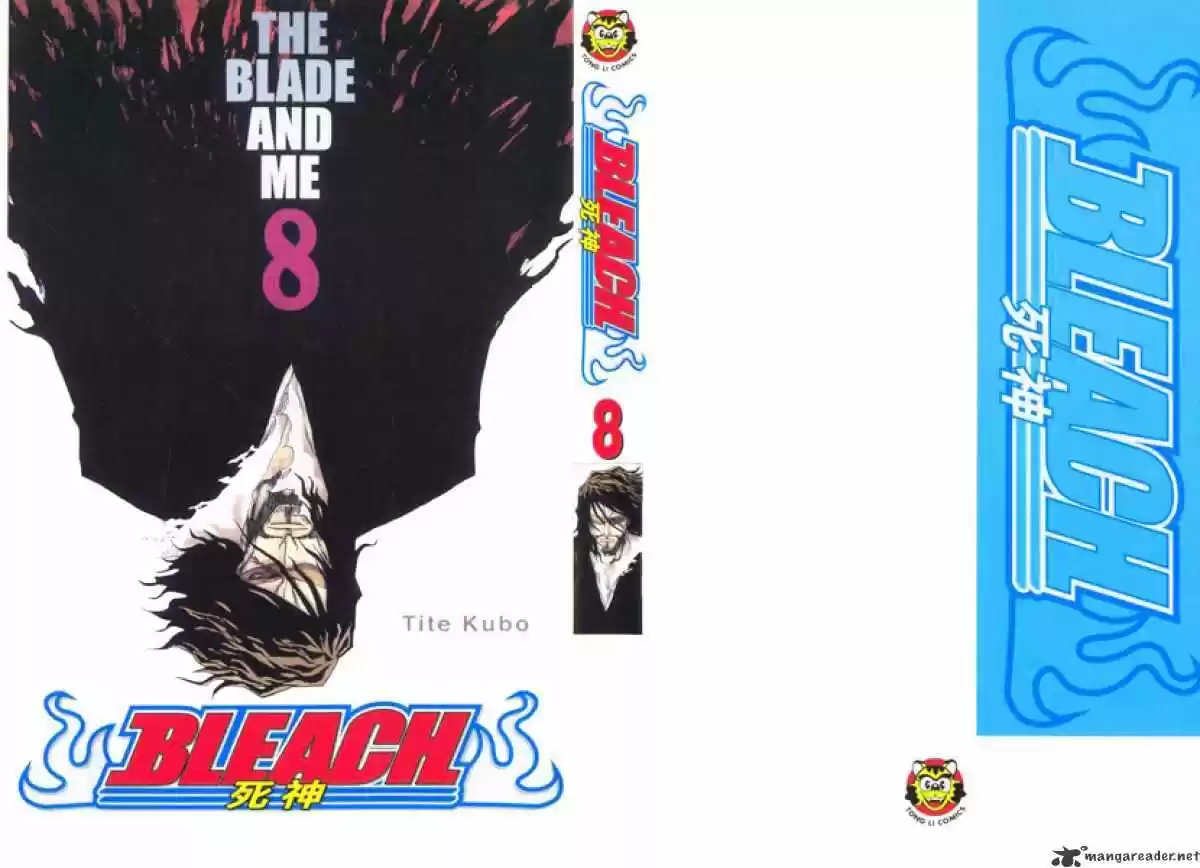 Bleach - All Colour But The Black Vol.13 Ch.062