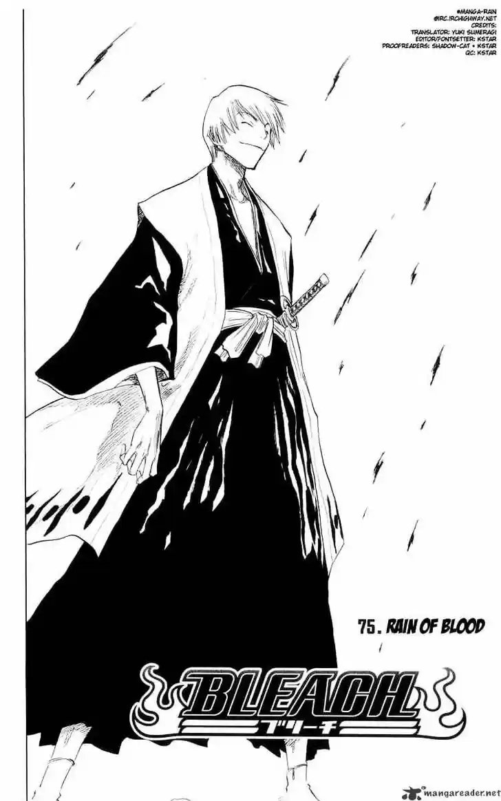 Bleach - All Colour But The Black Vol.13 Ch.075