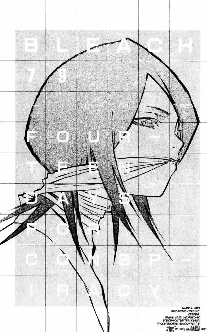 Bleach - All Colour But The Black Vol.13 Ch.079