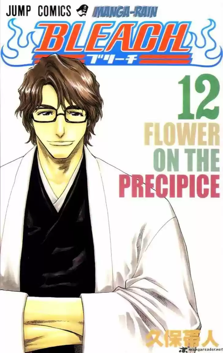 Bleach - All Colour But The Black Vol.13 Ch.099