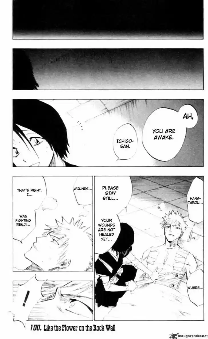 Bleach - All Colour But The Black Vol.13 Ch.100