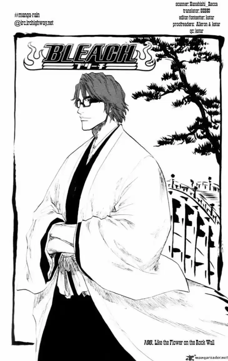 Bleach - All Colour But The Black Vol.13 Ch.100