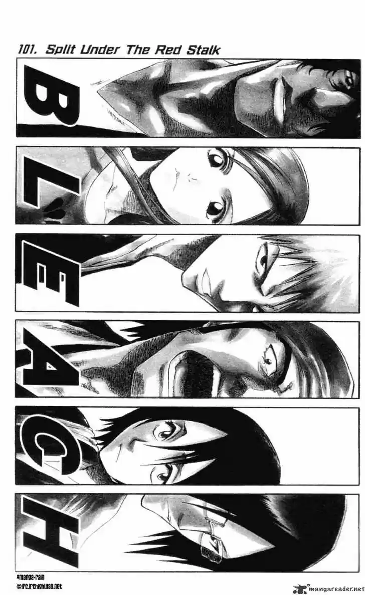 Bleach - All Colour But The Black Vol.13 Ch.101