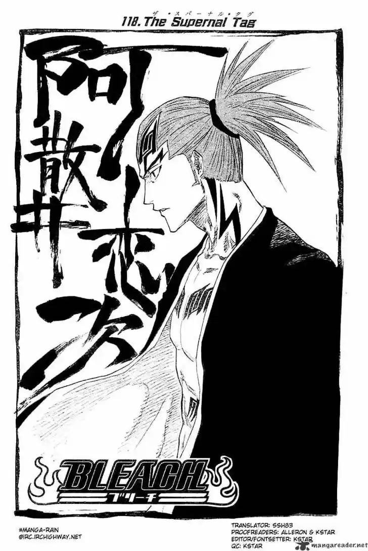 Bleach - All Colour But The Black Vol.13 Ch.118
