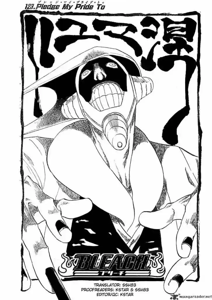 Bleach - All Colour But The Black Vol.13 Ch.123