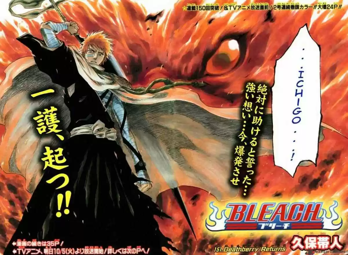 Bleach - All Colour But The Black Vol.13 Ch.151