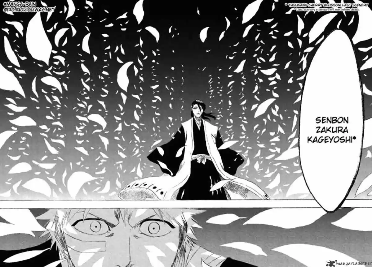 Bleach - All Colour But The Black Vol.13 Ch.161