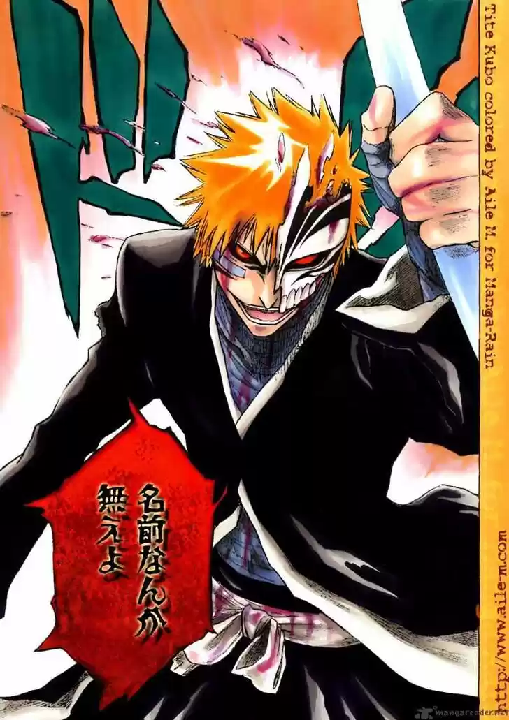 Bleach - All Colour But The Black Vol.13 Ch.165