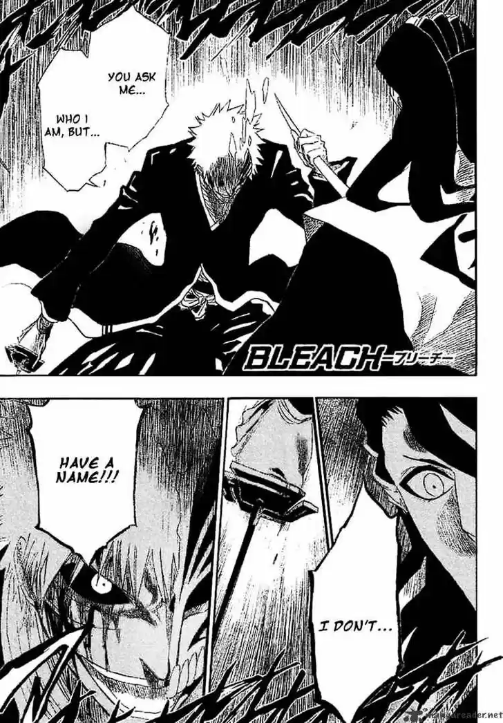 Bleach - All Colour But The Black Vol.13 Ch.166