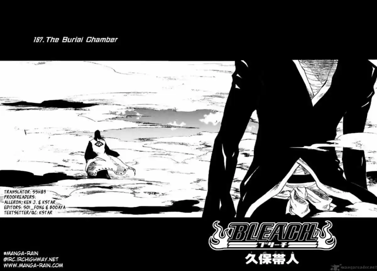 Bleach - All Colour But The Black Vol.13 Ch.167