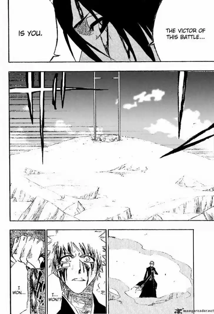 Bleach - All Colour But The Black Vol.13 Ch.167