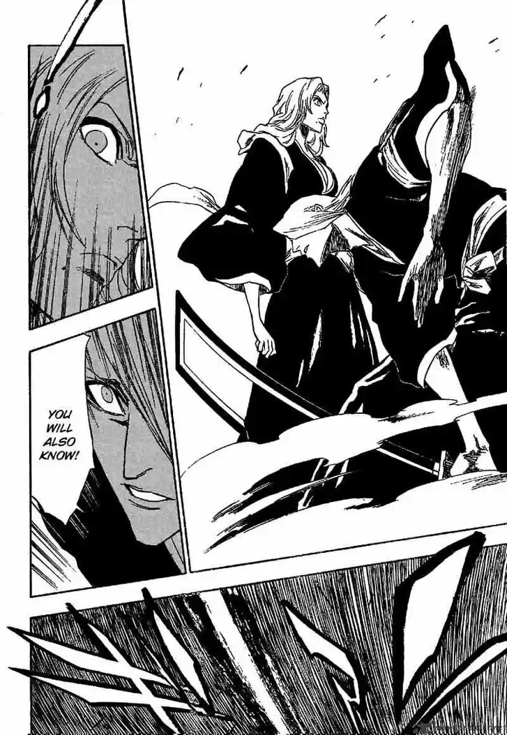 Bleach - All Colour But The Black Vol.13 Ch.169