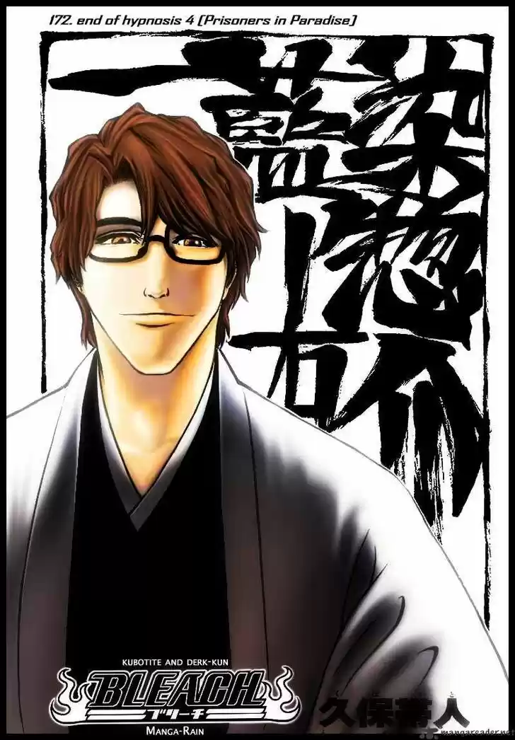 Bleach - All Colour But The Black Vol.13 Ch.172