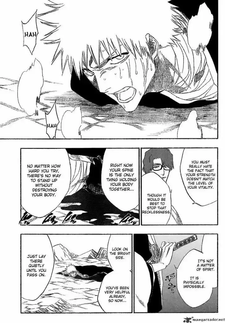 Bleach - All Colour But The Black Vol.13 Ch.175