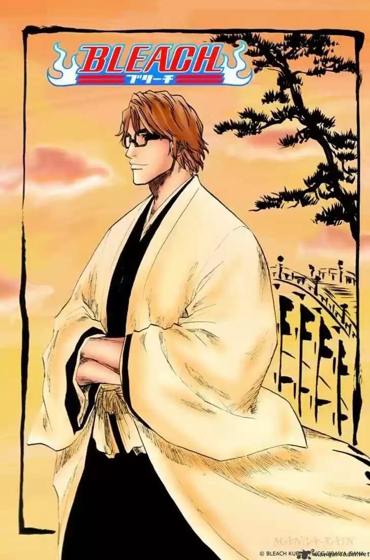 Bleach - All Colour But The Black Vol.13 Ch.177