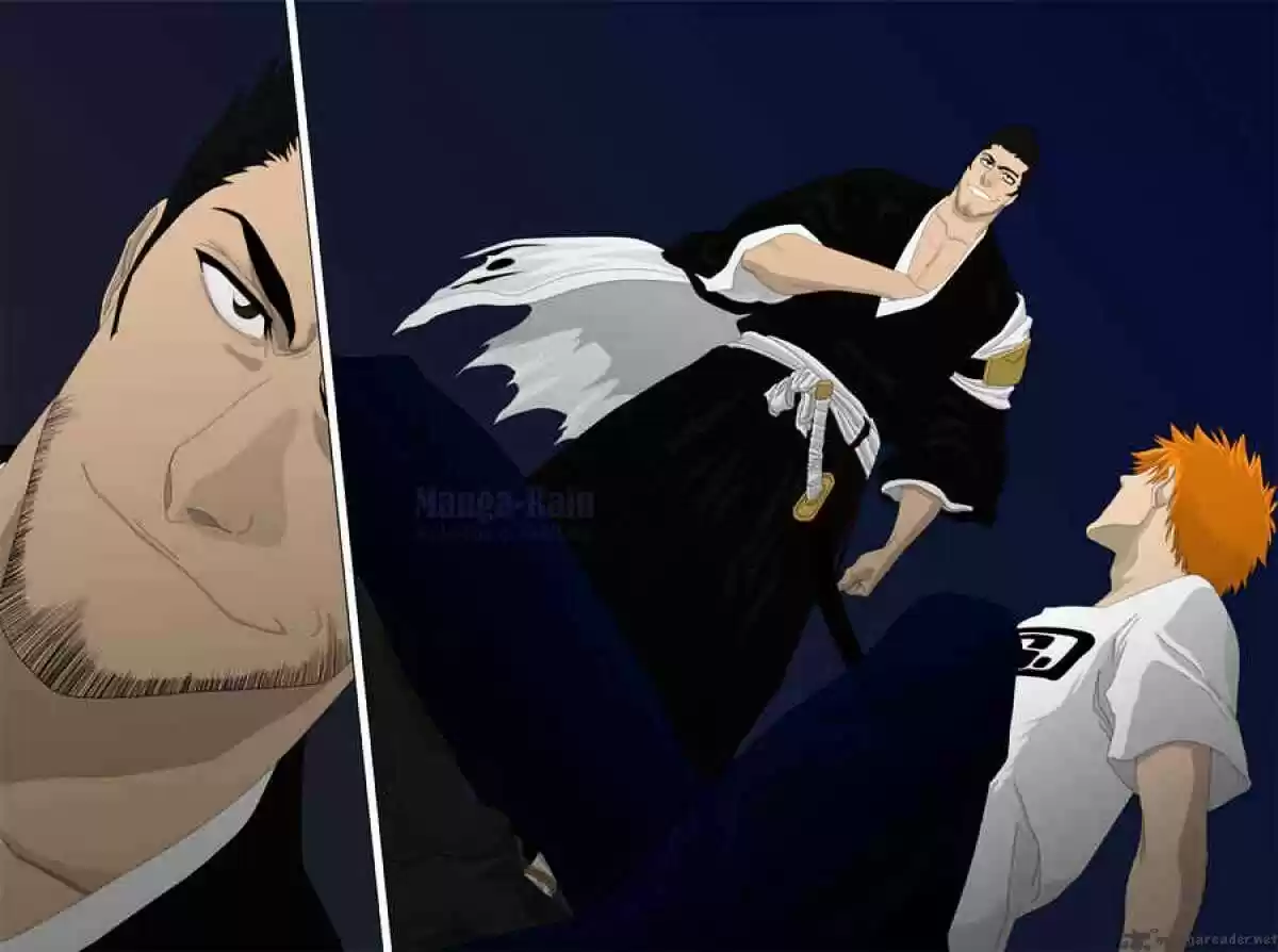 Bleach - All Colour But The Black Vol.13 Ch.186