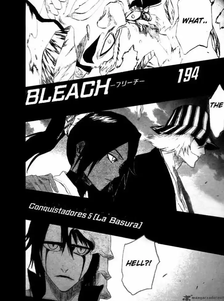 Bleach - All Colour But The Black Vol.13 Ch.194