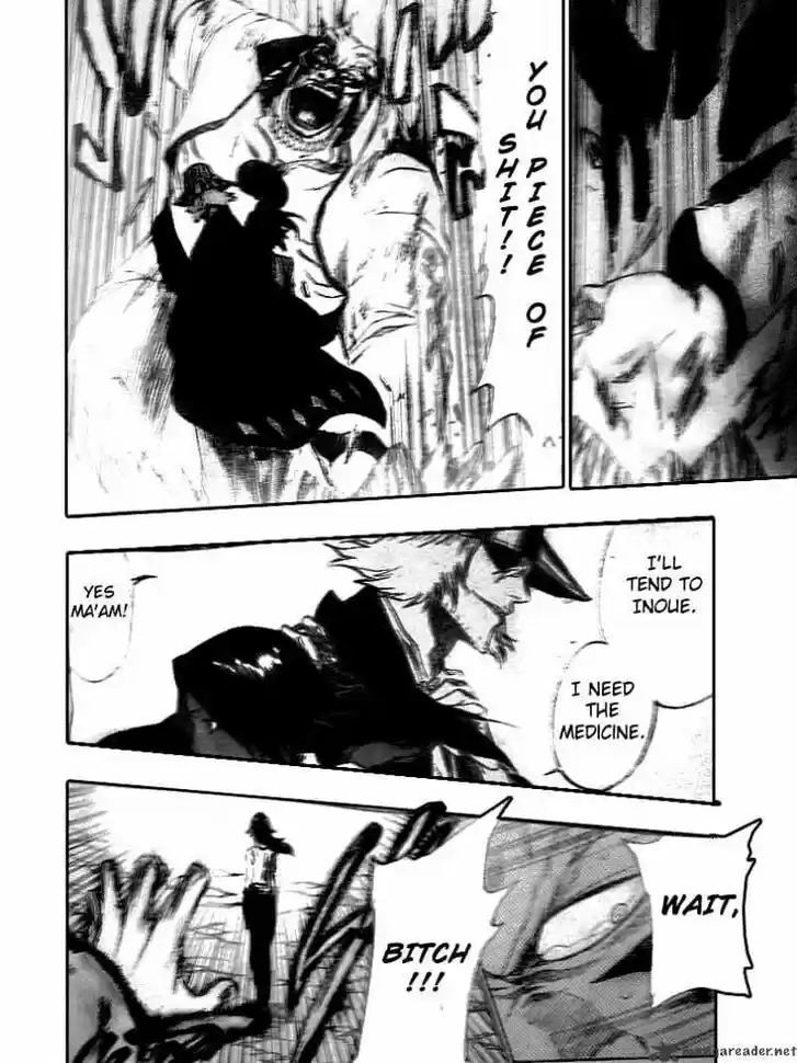 Bleach - All Colour But The Black Vol.13 Ch.194