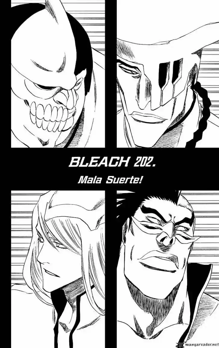 Bleach - All Colour But The Black Vol.13 Ch.202