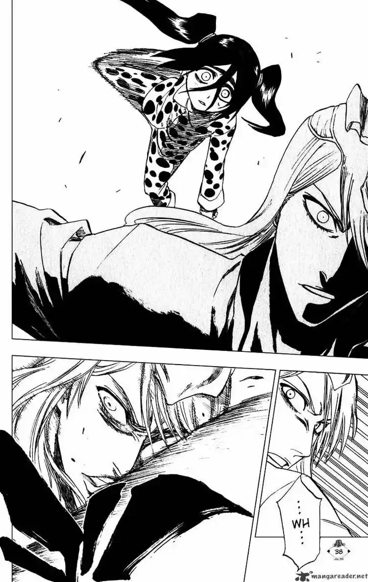 Bleach - All Colour But The Black Vol.13 Ch.207