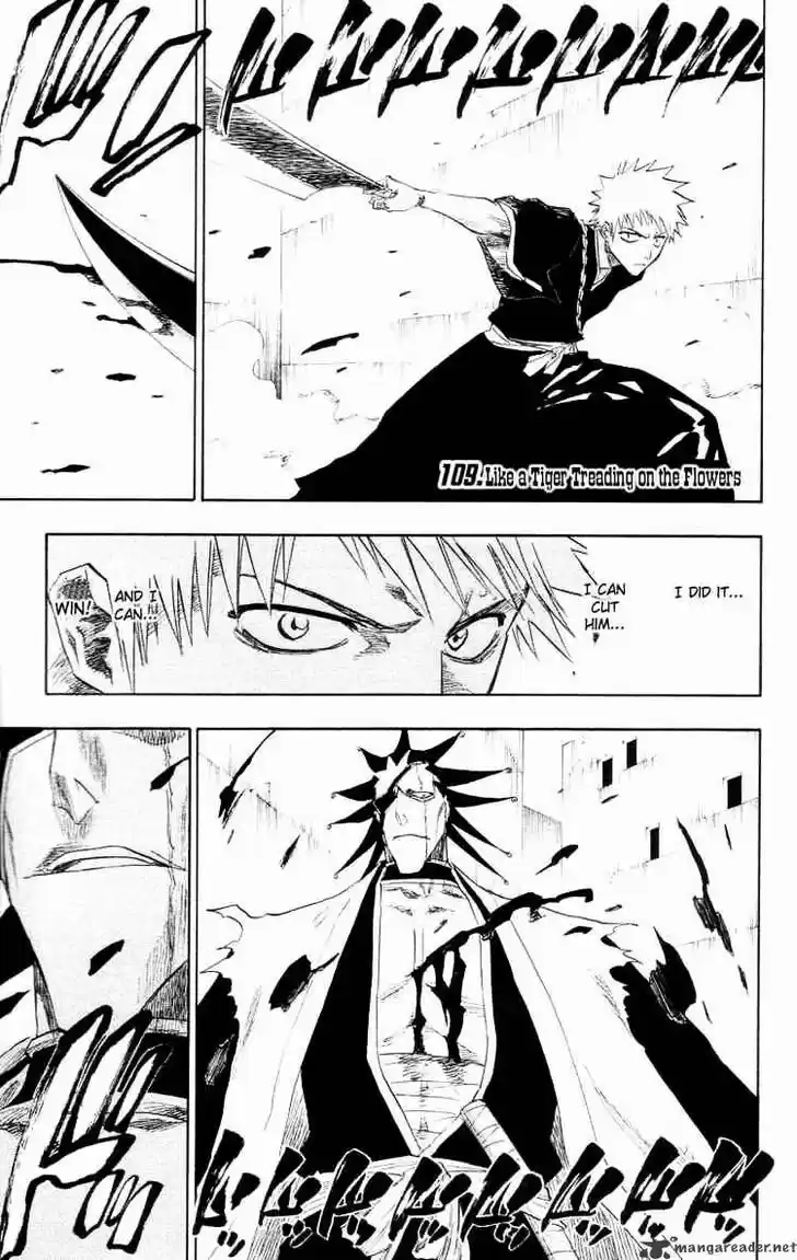Bleach - All Colour But The Black Vol.23 Ch.109