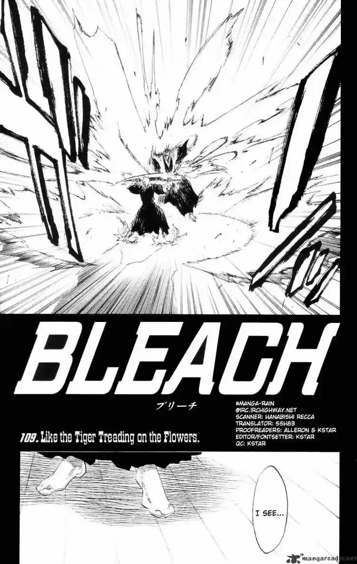 Bleach - All Colour But The Black Vol.23 Ch.109