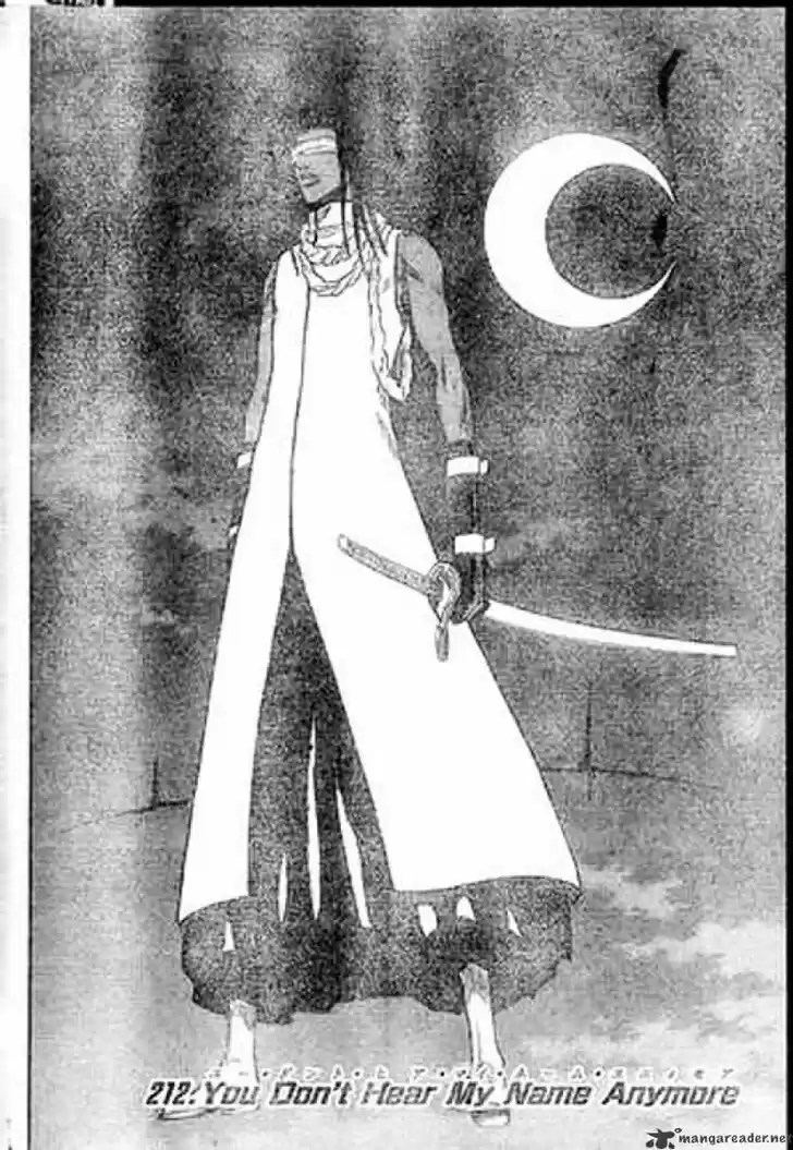 Bleach - All Colour But The Black Vol.23 Ch.212