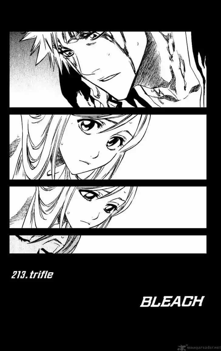 Bleach - All Colour But The Black Vol.23 Ch.213
