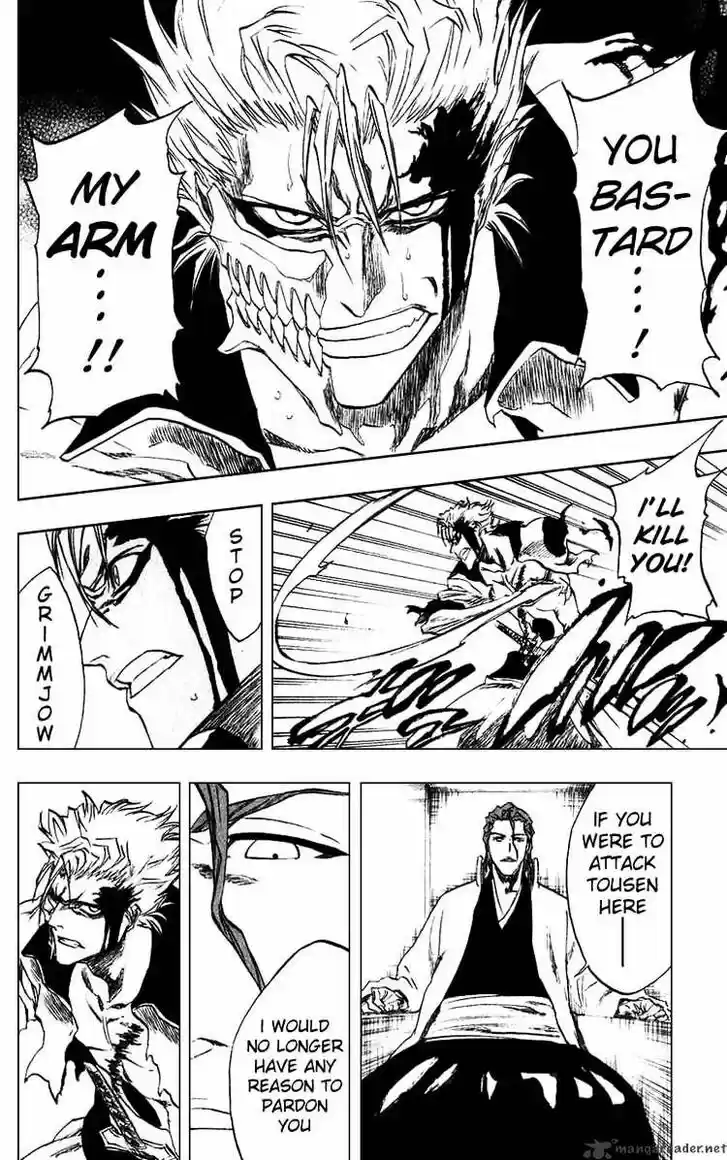 Bleach - All Colour But The Black Vol.23 Ch.213