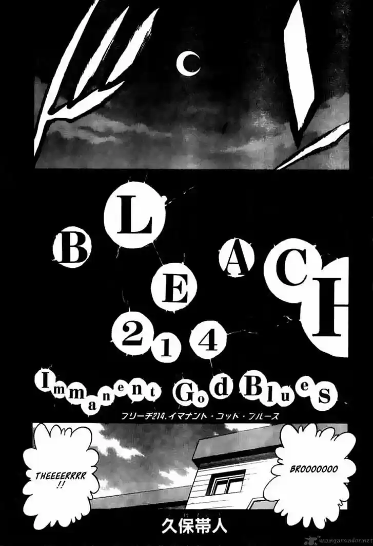 Bleach - All Colour But The Black Vol.23 Ch.214