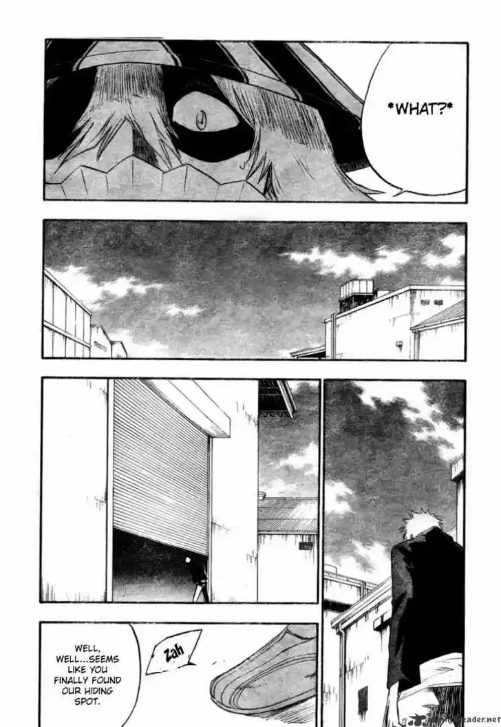 Bleach - All Colour But The Black Vol.23 Ch.214