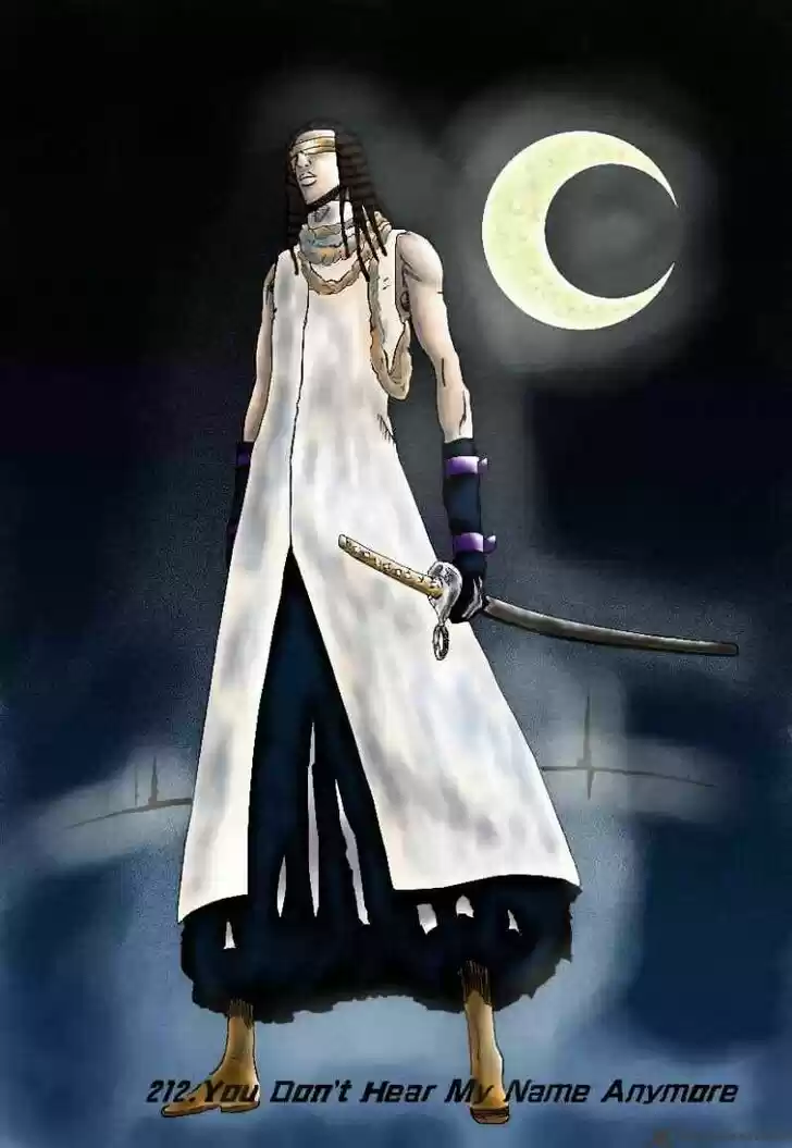 Bleach - All Colour But The Black Vol.23 Ch.214