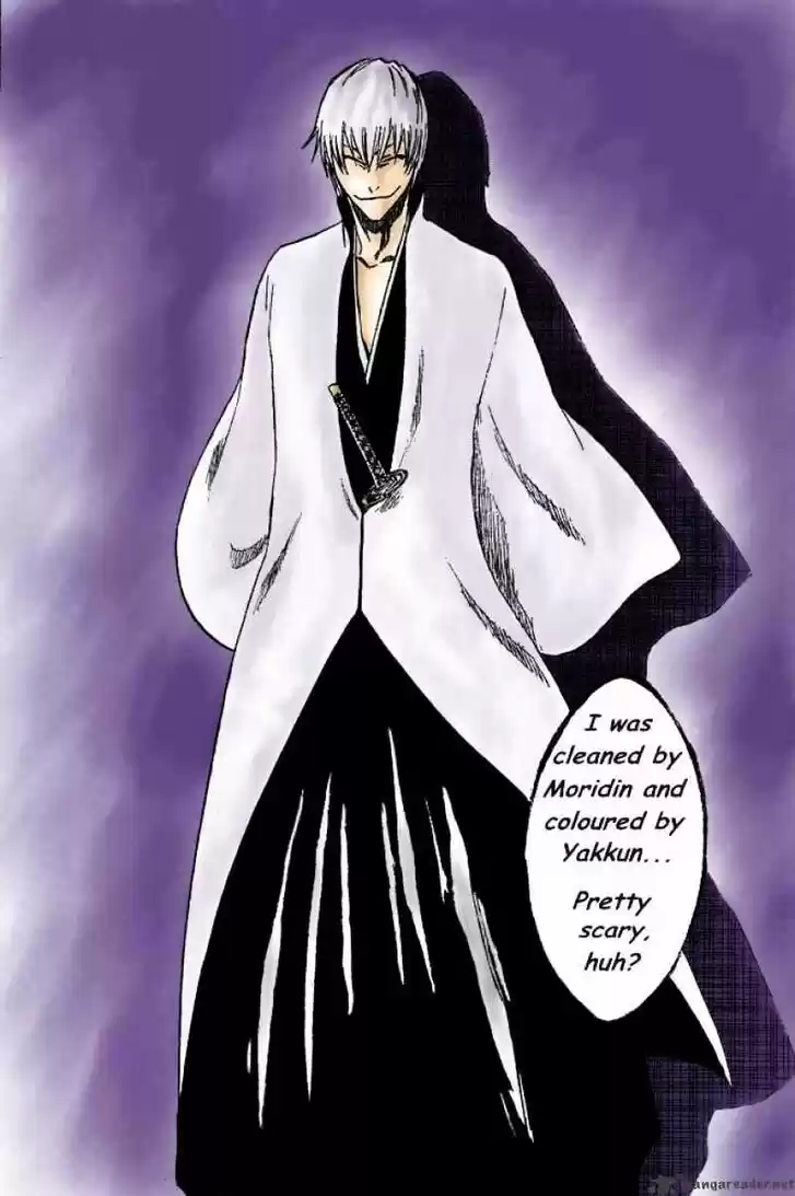 Bleach - All Colour But The Black Vol.23 Ch.214