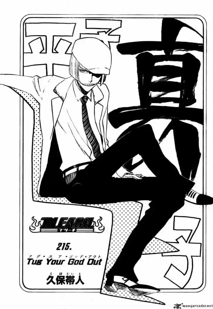 Bleach - All Colour But The Black Vol.23 Ch.215