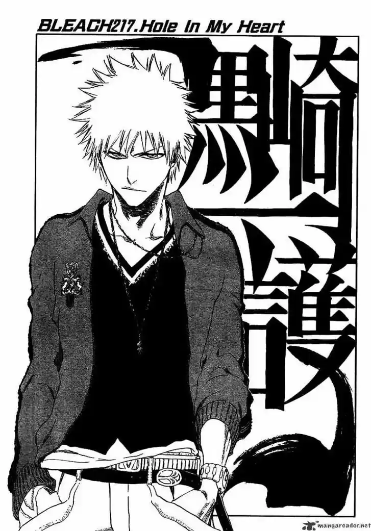 Bleach - All Colour But The Black Vol.23 Ch.217