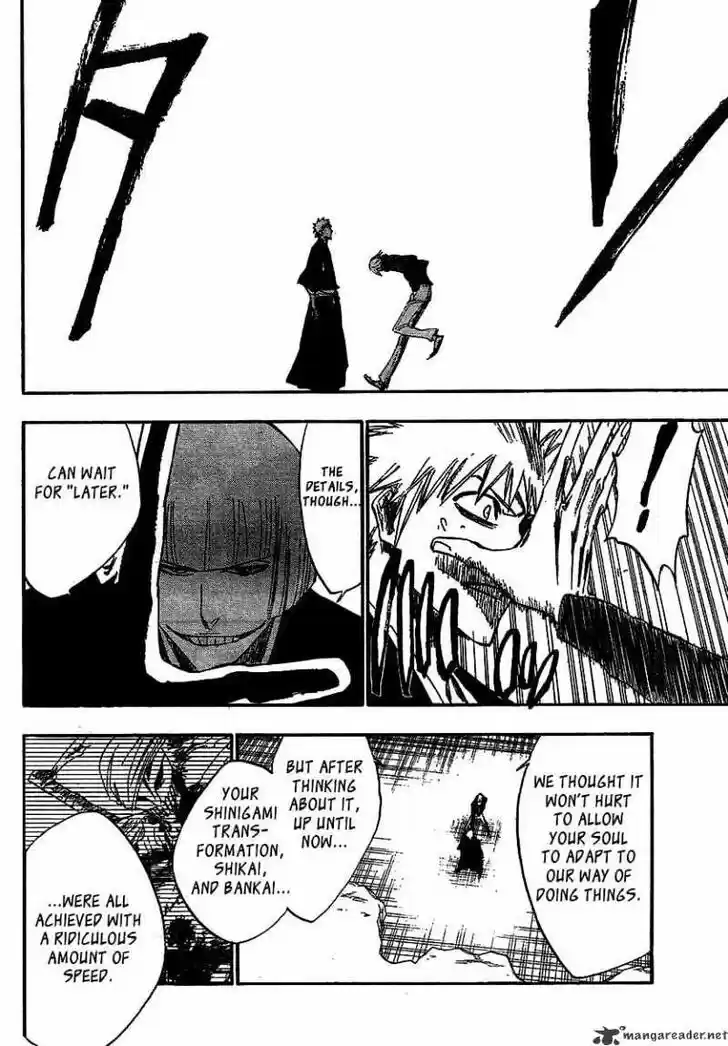Bleach - All Colour But The Black Vol.23 Ch.217