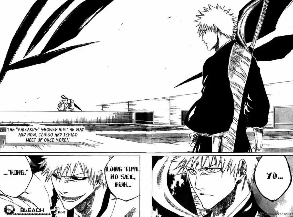 Bleach - All Colour But The Black Vol.23 Ch.217