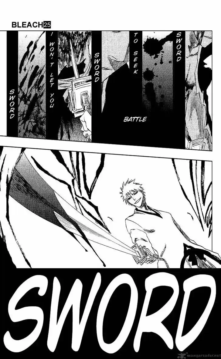 Bleach - All Colour But The Black Vol.23 Ch.220