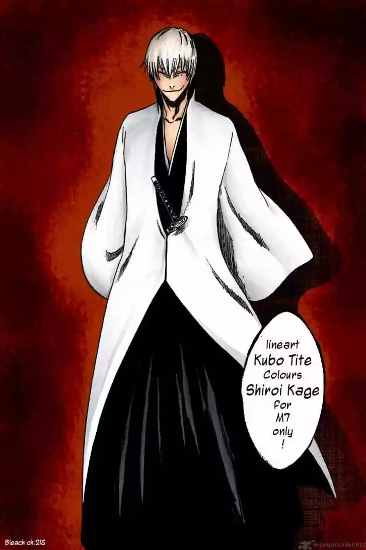 Bleach - All Colour But The Black Vol.23 Ch.221