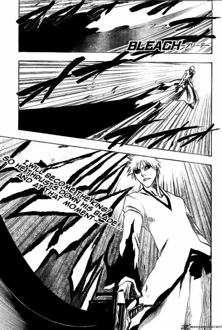 Bleach - All Colour But The Black Vol.23 Ch.221