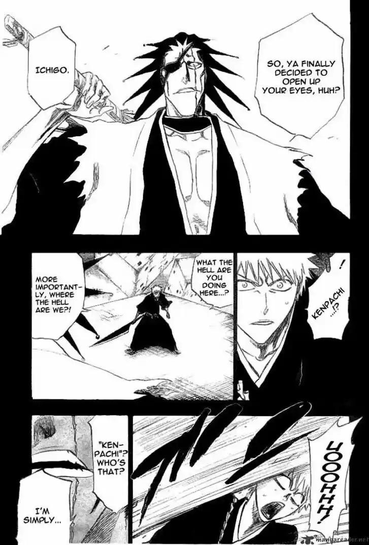 Bleach - All Colour But The Black Vol.23 Ch.221