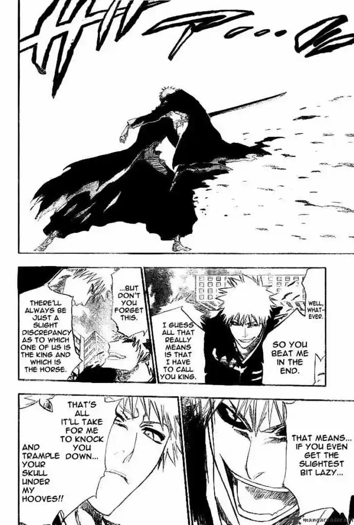 Bleach - All Colour But The Black Vol.23 Ch.221