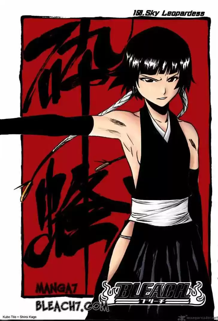 Bleach - All Colour But The Black Vol.23 Ch.221