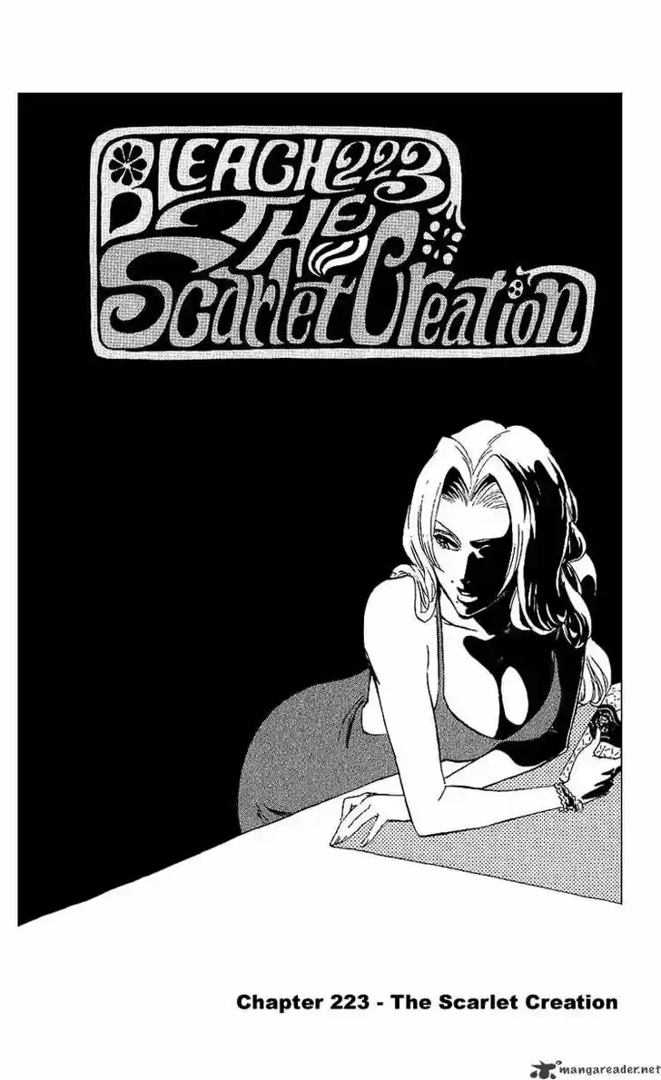 Bleach - All Colour But The Black Vol.23 Ch.223